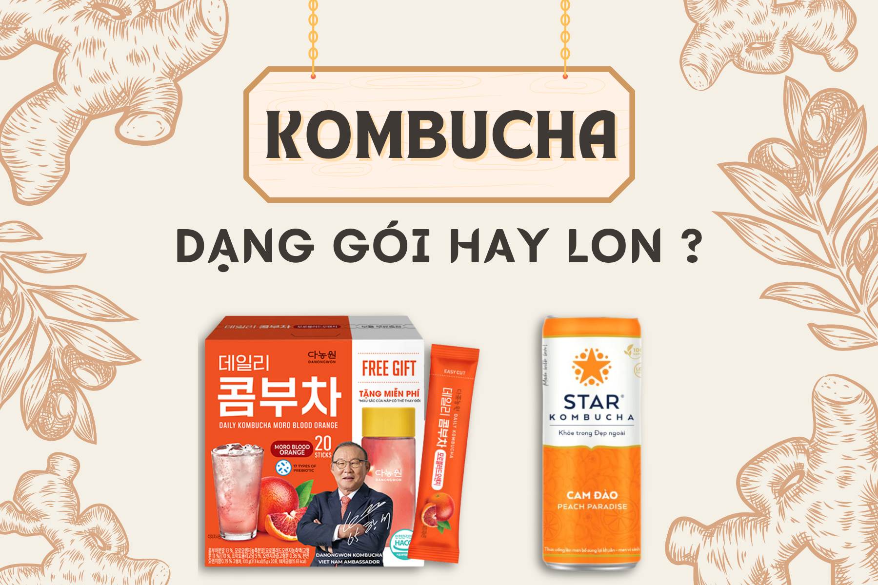So sánh kombucha dạng gói và dạng lon.